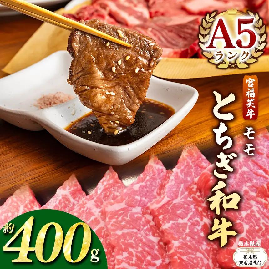 【栃木県共通返礼品 栃木県産】宮福笑牛(とちぎ和牛) A5 モモ焼き肉 約400g  | 栃木県 下野市