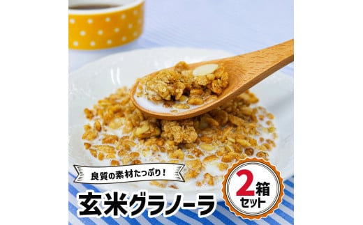 玄米グラノーラ 2箱セット｜シリアル 穀菜食 自然食品 堅果類 全粒オーツ麦 アーモンド 小麦胚芽 クルミ [0246ch]