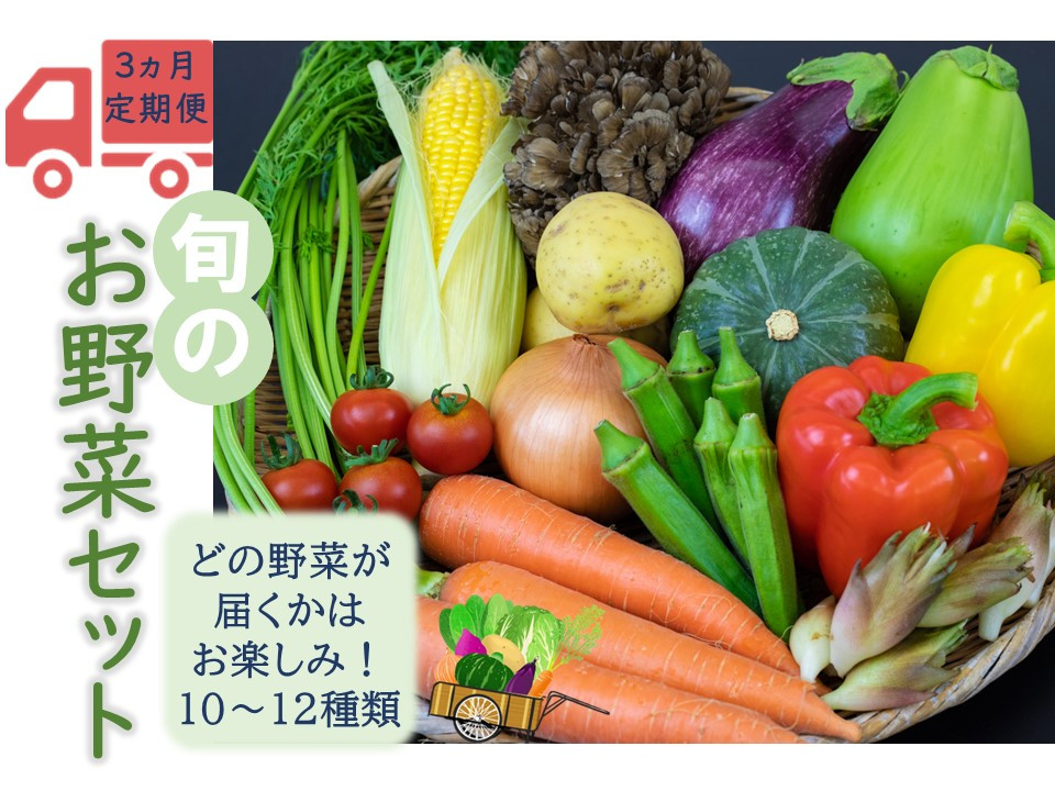 
                  【3ヵ月定期便】高原の町「飯南町」旬のお野菜セット【 新鮮野菜 高原野菜 旬 特産品 お取り寄せ 少量多品種 少量多品目 3回 定期便 コース おまかせ】C-121
                