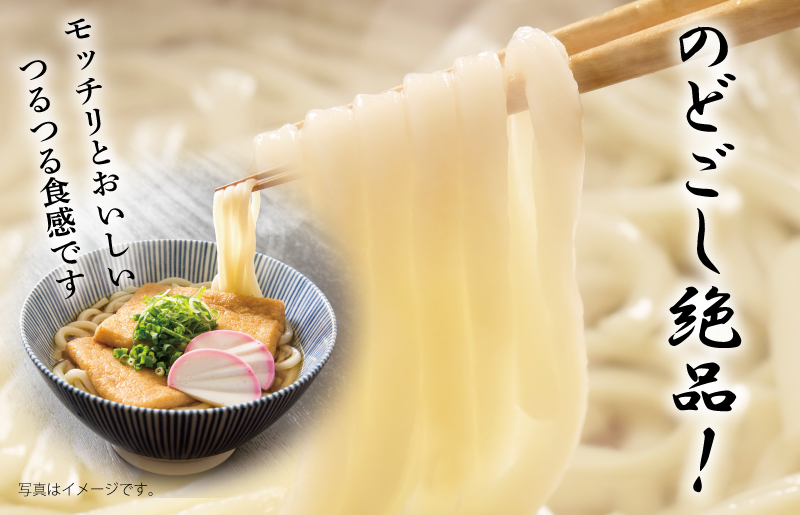 【スピード発送】麺名人 つるつるうどん 15食【個包装 冷凍 惣菜 麺 簡単調理 一人暮らし】 099H2513