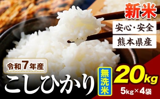 令和7年産 新米 こしひかり 20kg 《7-14日以内に出荷予定(土日祝除く)》令和7年産 熊本県産 ふるさと納税 新米 無洗米 ひの 米 こめ ふるさとのうぜい コシヒカリ コメ お米 おこめ