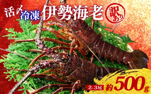 訳あり 冷凍 伊勢海老 約500g 2～3尾 活〆 伊勢えび 伊勢エビ イセエビ 海老 えび エビ ebi いせえび 魚介 海鮮 海産物 海 特産品 うま味 旨味 海の幸 アウトドア BBQ 刺身 炭火焼 産地直送 国産 三重県 伊勢 志摩 南伊勢町 山藤