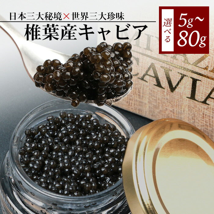 【ふるさと納税】【2025年1月より順次発送】【桐箱入り】HEIKE CAVIAR 椎葉産 キャビア 5g～80g【SZ-109】｜送料無料 キャビア 国産 チョウザメ お酒 プレゼント 魚介 魚卵 珍味 世界三大珍味 加工品 冷凍 高級 贅沢 グルメ ギフト 誕生日 お祝い 贈り物｜