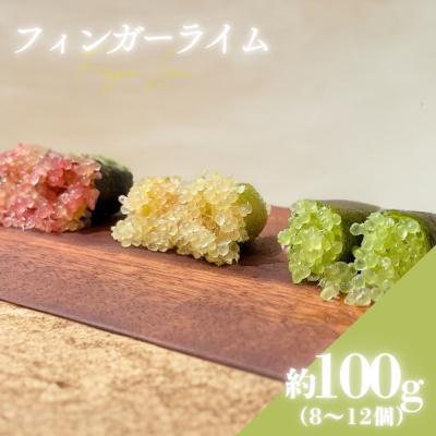 ふるさと納税 福島市  フィンガーライム(品種ミックス)【2026年発送】No.3314