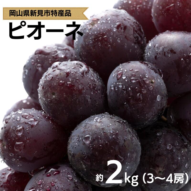 【ふるさと納税】先行予約 ピオーネ 約2kg 2キロ 3～4房 産地直送 農家直送 種なし 大粒 ぶどう 果物 黒いダイヤ ジューシー A級食材