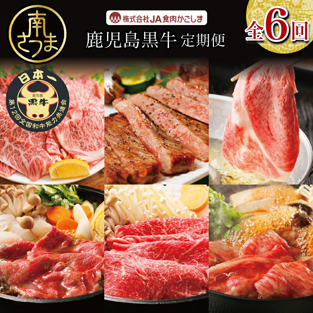 【ふるさと納税】鹿児島黒牛 定期便（全6回） かごしまブランド 黒毛和牛 内閣総理大臣賞 GI登録 霜降り 赤身 ステーキ 焼肉 焼き肉 バーベキュー BBQ すき焼き しゃぶしゃぶ サーロイン カタロース モモ バラ 小分け 冷凍 定期便 JA食肉かごしま 南さつま市 送料無料【kus】