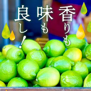 先行受付 2026年11月上旬～発送 広島県産 グリーンレモン3kg