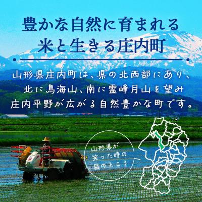 ふるさと納税 庄内町 【新米受付】渡會さんのうまい米!つや姫2kg【10月より順次発送】 |  | 01