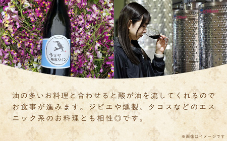 多古ワイン2020【水色ラベル】【750ml】【1本】_酒・アルコール 赤ワイン ワイン _【配送不可地域：離島・沖縄県】TAKM001