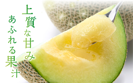  特別限定栽培 八右衛門アールスメロン 大玉1.8kg 1玉 （マスクメロン） 先行予約 メロン めろん 箱詰め フルーツ 果物 愛知県 田原市 6月 7月