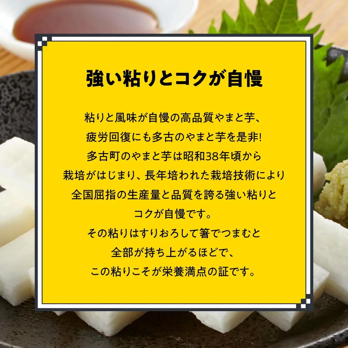やまと芋の町!多古から「秋山農園のやまと芋」2kg(どろ付き)_野菜 自然薯 根菜 じねんじょ ジネンジョ 【配送不可地域：離島・沖縄県】TAKF050