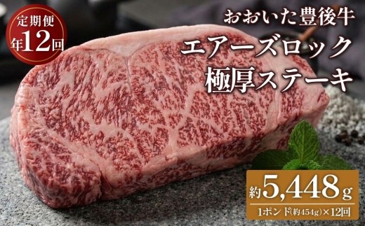 【定期便12回】日本一の和牛 おおいた豊後牛 1ポンド エアーズロック 極厚ステーキ