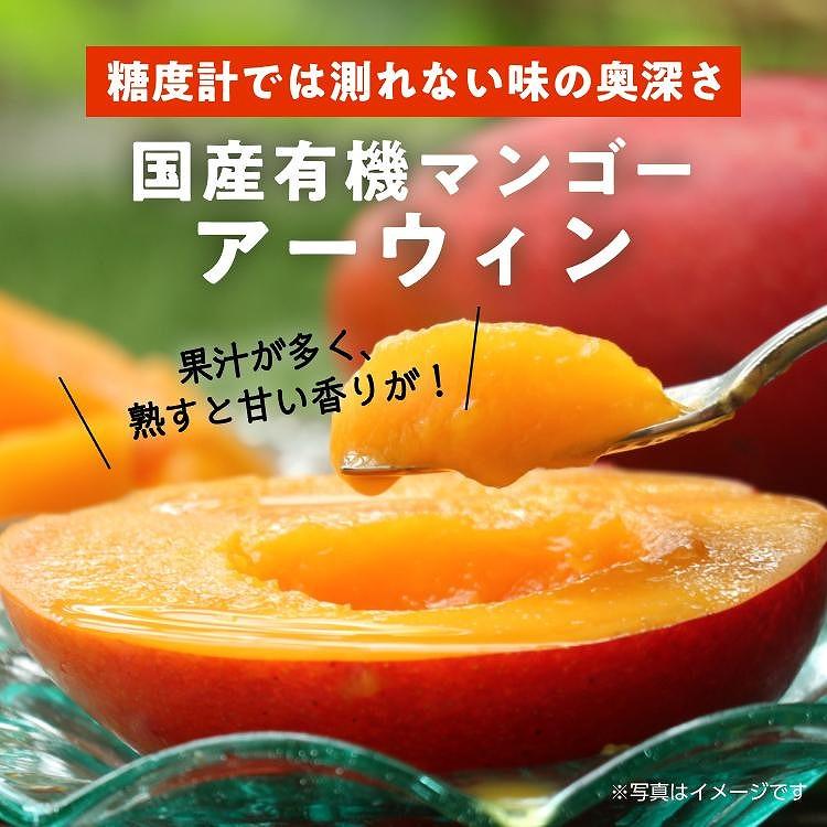 DQ015《先行予約》2026年発送 有機JAS認証マンゴー（アーウィン）贈答用 2kg【楽園の果実】