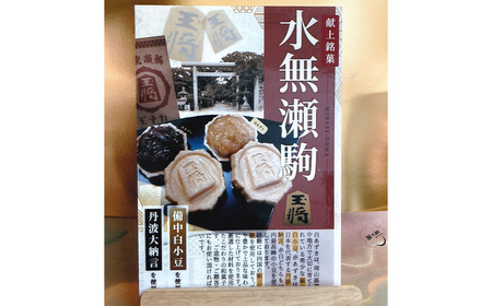 No.180 水無瀬駒モナカセット　10コ ／ 菓子 和菓子 もなか 最中 詰合せ 食べ比べ 丹波大納言 備中白小豆 献上銘菓 こだわり ご進物 ご贈答 ギフト お取り寄せ 大阪府
