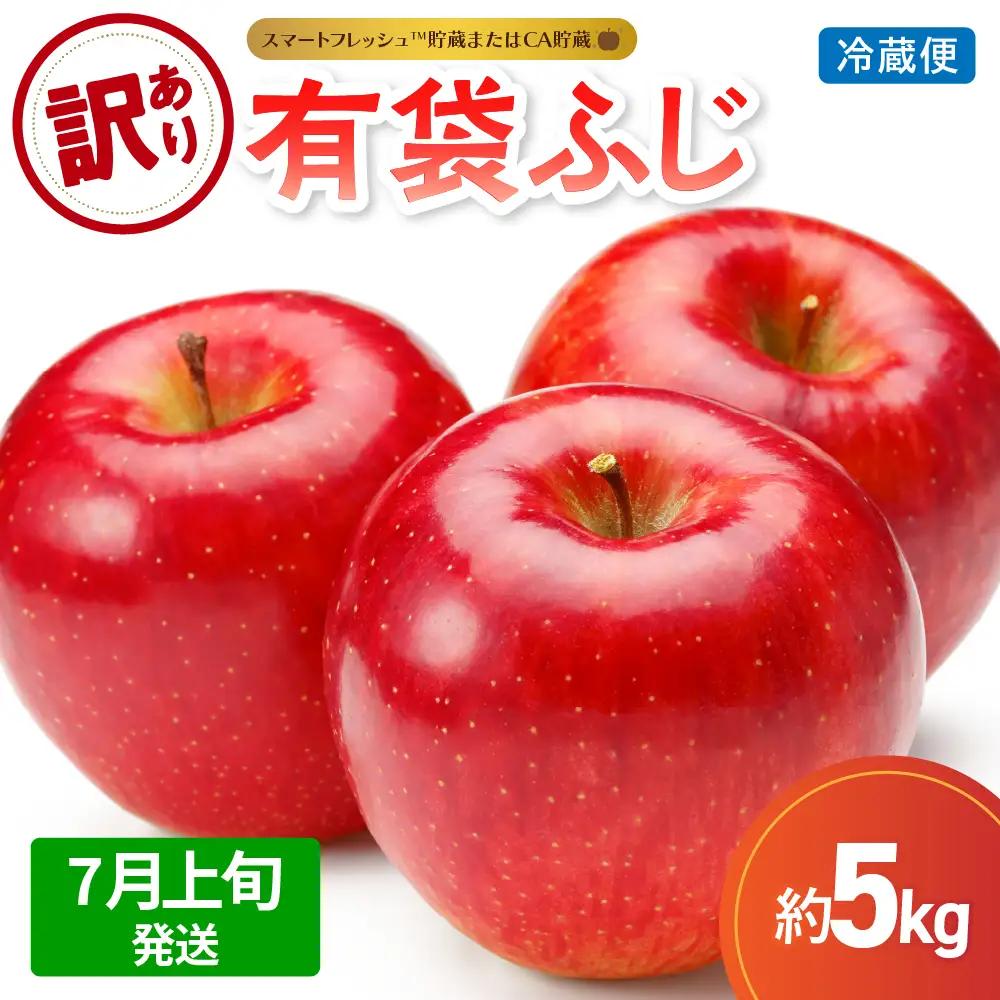 【2026年7月上旬発送】【訳あり】りんご有袋ふじ5kg(スマートフレッシュTM貯蔵又はCA貯蔵・クール便)