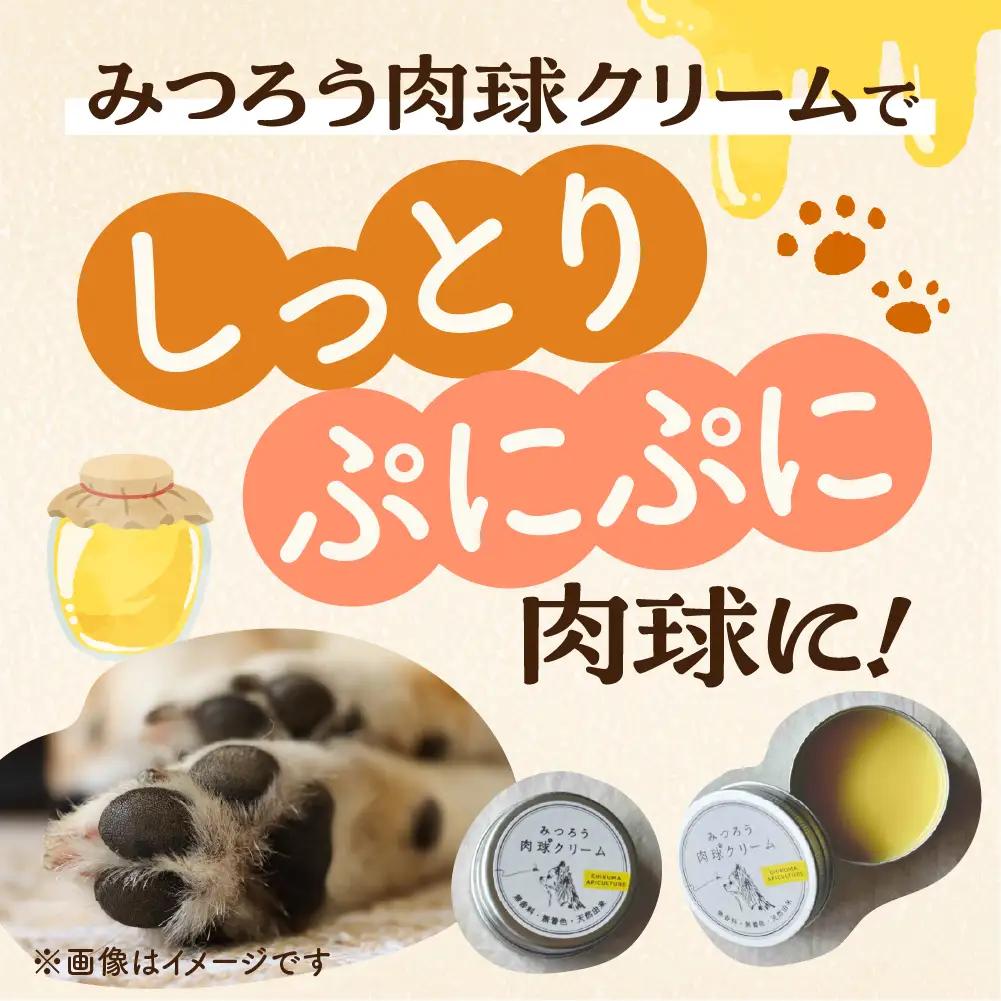 【11月～4月お届け】 国産はちみつ 肉球クリーム お試しサイズ 10g  肉球 クリーム ペット 犬 愛犬 グッズ 国産 トチ 百花 はちみつ ハチミツ 蜂蜜 チクマ養蜂 岐阜県産
