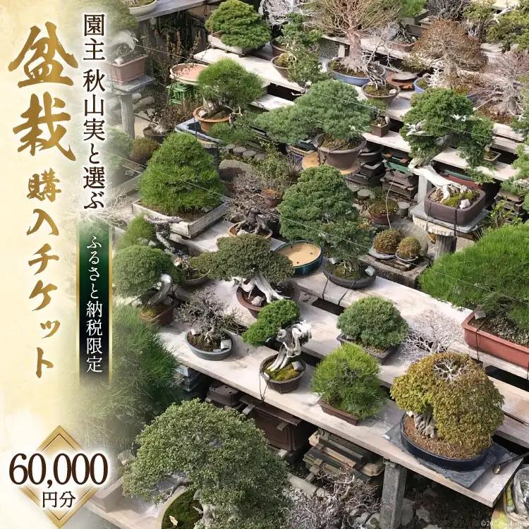 【ふるさと納税限定】盆栽 ぼんさい 鉢 園主 「秋山実」と選ぶ 盆栽購入 チケット 60,000円分 限定 セレクト 芸術 自然 [秋山園 山梨県 韮崎市 20740913]