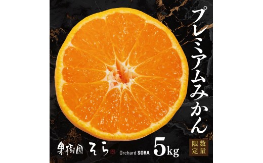 【先行受付】天空の果樹園から届く そらみかんプレミアムシリーズ (5kg)【95-22】【1760137】ふるさと納税 みかん ミカン 柑橘 フルーツ くだもの 果物 青果 ふるーつ 甘い ジューシー プレミアム 産直 産地直送 旬 愛媛 八幡浜市 YWTAQ022