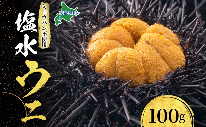 ミョウバン不使用 塩水 ウニ100g 1パック 7月下旬頃までお届