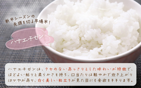 【先行予約】令和8年産 愛情たっぷり健やかに育った ツヤツヤ ハナエチゼン（白米）5kg【2026年9月上旬以降順次発送予定】 [m29-a027]