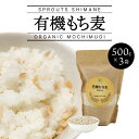 【ふるさと納税】有機もち麦 500g×3袋（計1500g）【SS-4】｜送料無料 もち麦 麦 雑穀 穀類 お米 ご飯 サラダ スープ ヘルシー カロリー 腸活 食物繊維 健康 健康志向 ダイエット プチプチ 有機栽培 チャック付き 計1500g｜