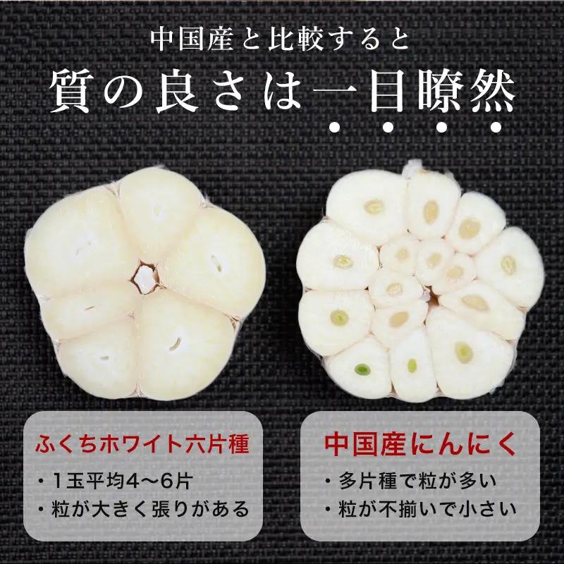 【訳あり】南部町営市場 直送 にんにく「ふくちホワイト六片種」約1kg 《カネテ青果》 F21U-333