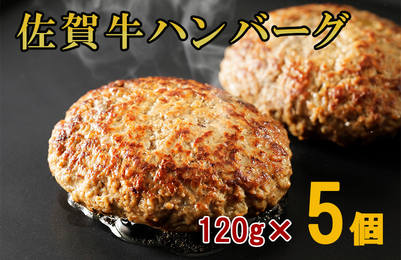 
            佐賀牛100%手づくりハンバーグ 120gｘ5個 180-J1014
          