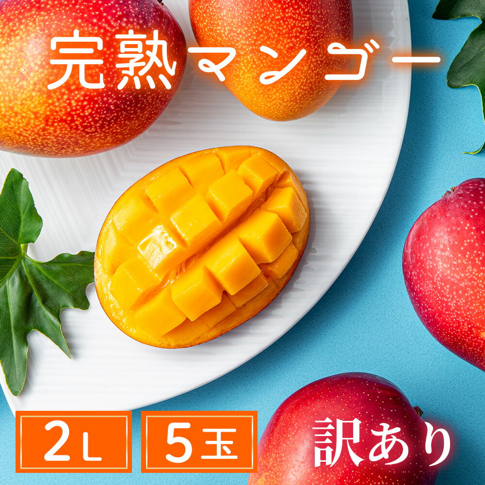 【ふるさと納税】【訳あり】完熟マンゴー 2L×5玉（パック）【濃厚 高級 宮崎 果物 フルーツ 贈答 ギフト 甘い 先行受付 送料無料】