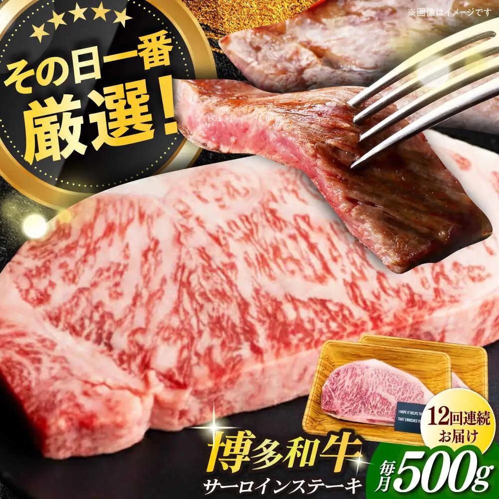 サーロイン 【全12回定期便】 500g（250g×2枚） [ABBP032] サーロイン