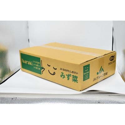 ふるさと納税 行方市 「みず菜」100g×20袋 |  | 02