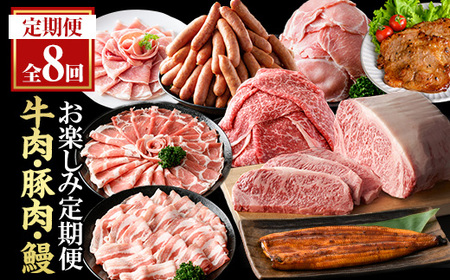 ＜定期便・全8回(連続)＞毎月違うお品をお届け！お楽しみ定期便(合計4.8kg以上) 牛肉 豚肉【ナンチク・西日本養鰻】 T48