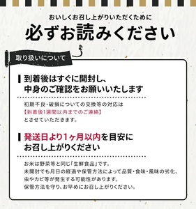 1245T10　【定期便】遊佐産はえぬき5kg×12ヶ月連続（10月～9月）