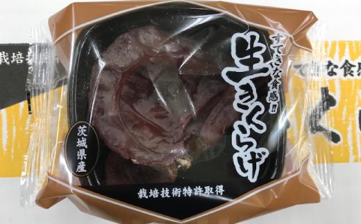 
きくらげ　1パック50g×36パック（茨城県共通返礼品・鹿嶋市産）
