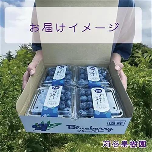 【期間限定】【2L】 大粒ブルーベリー約1kg《125g×8パック入》 岩手県軽米町_ブルーベリーブルーベリーブルーベリーブルーベリーブルーベリー_【配送不可地域：離島・沖縄県】【1518035】