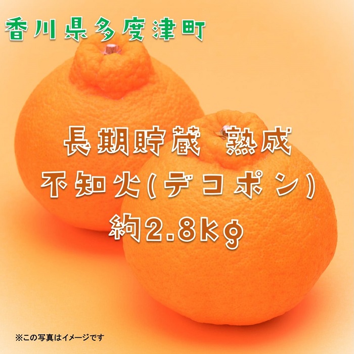長期貯蔵 熟成 不知火（でこぽん）約2.8kg【予約受付中！令和8年5月中旬より発送】【B-29】
