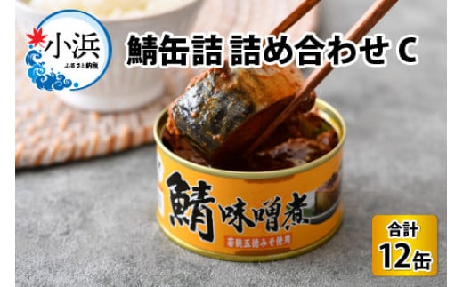 鯖缶詰12缶詰め合わせＣ