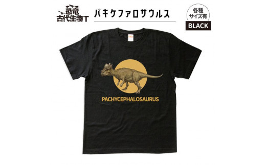 恐竜・古代生物Tシャツ　パキケファロサウルス 036　サイズＸＬ（レギュラー）