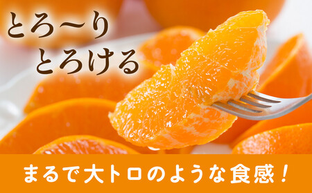 訳あり 家庭用 せとか1kg+250g（傷み補償分）せとか 光センサー選果・食べ頃出荷