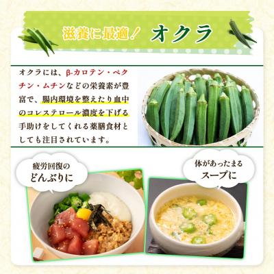 ふるさと納税 大崎町 【定期便】鹿児島県産　冷凍スライスオクラ　(150g×6パック)×6回 |  | 03