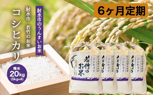 
                  【6ヶ月定期便】【射水市】【射水の美味しいお米】若竹のお米 R8年度産コシヒカリ20kg（5kg×4） | 米 こめ コメ こしひかり 先行予約 予約 新米 白米 ブランド米 銘柄米 人気 ランキング 富山 富山米 北陸 北陸米 富山コシヒカリ 北陸コシヒカリ 精米コシヒカリ 20キロ 20キロ米 20kg 20kg米 ※離島への配送不可 ※2026年10月上旬～10月下旬頃に順次発送予定
                