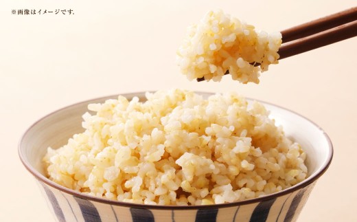 岡山県産きぬむすめ早炊き玄米10kg（2kg×5袋）
