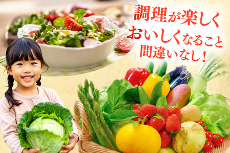 野菜 果物 セット 安心の地元野菜と果物のお任せセット 定期便 12回