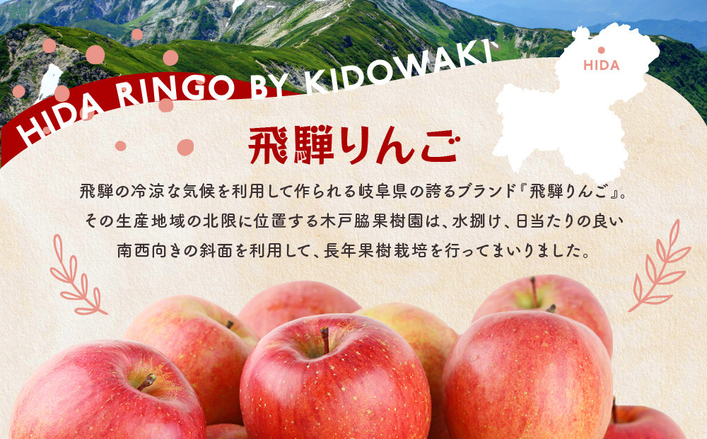飛騨りんご100％ジュース1L×6本セット｜果汁100% 贅沢 ストレート 純粋 風味豊か フルーツ飲料 ジュース 名産 ふじ 1リットル 家族団欒 老若男女 飛騨高山 木戸脇果樹園オーチャードハウス