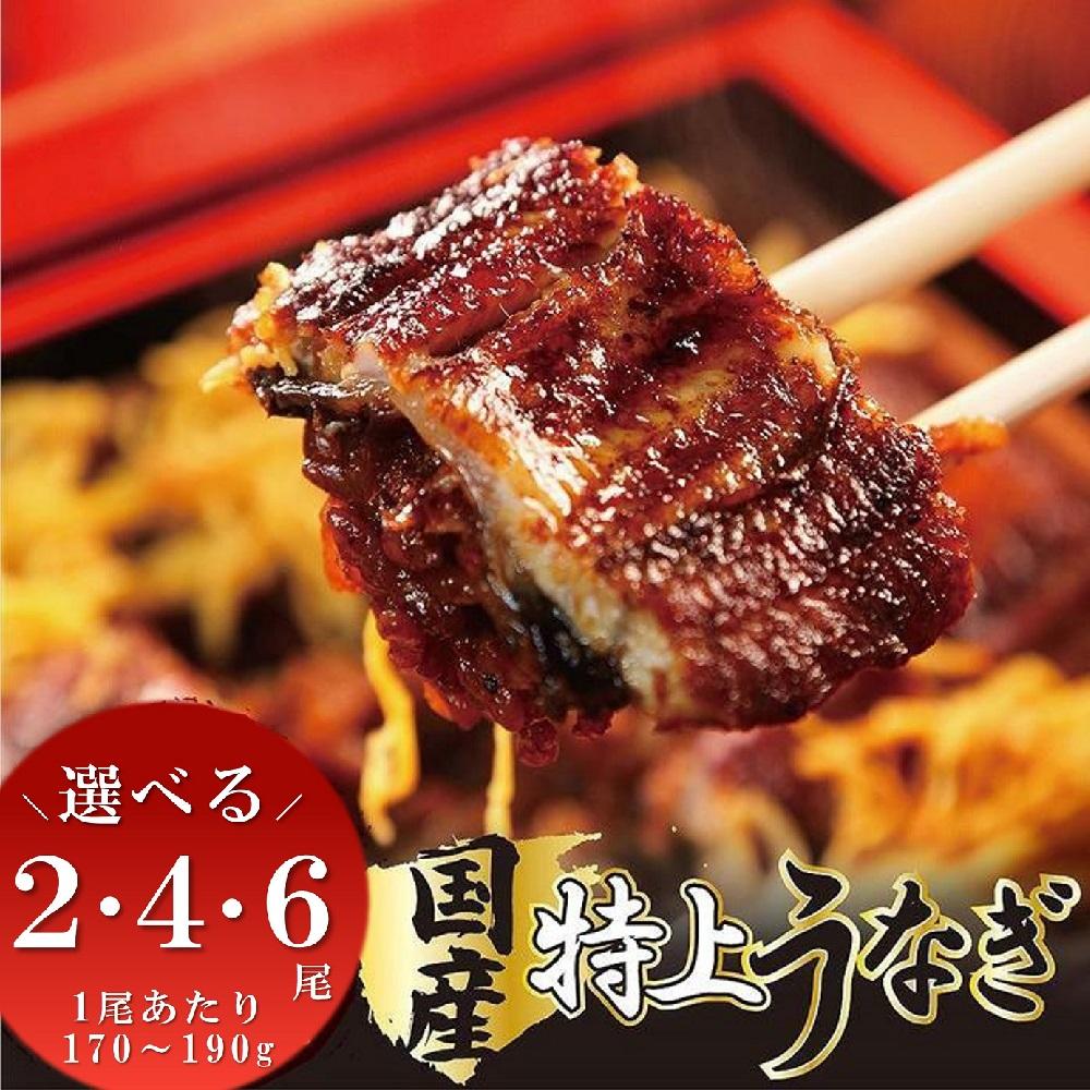 【ふるさと納税】国産 うなぎ蒲焼 2尾 4尾 6尾 | 九州産 うなぎ 鰻 うなぎの蒲焼 うなぎの蒲焼き 鰻の蒲焼 鰻の蒲焼き unagi 有頭 蒲焼 蒲焼き かば焼き かばやき 真空 真空パック 鰻の名店 たれ付 濃厚だれ 丑の日 新鮮 高級 特産品 お取り寄せ ふるさと納税 福岡県