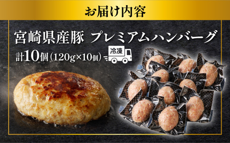 ≪数量限定≫宮崎県産豚プレミアムハンバーグ(計11個) 肉 豚肉 加工品 惣菜_T001-010-ZO【人気 ハンバーグ ギフト ハンバーグ 食品 ハンバーグ 惣菜 ハンバーグ 自家製  ハンバーグ 