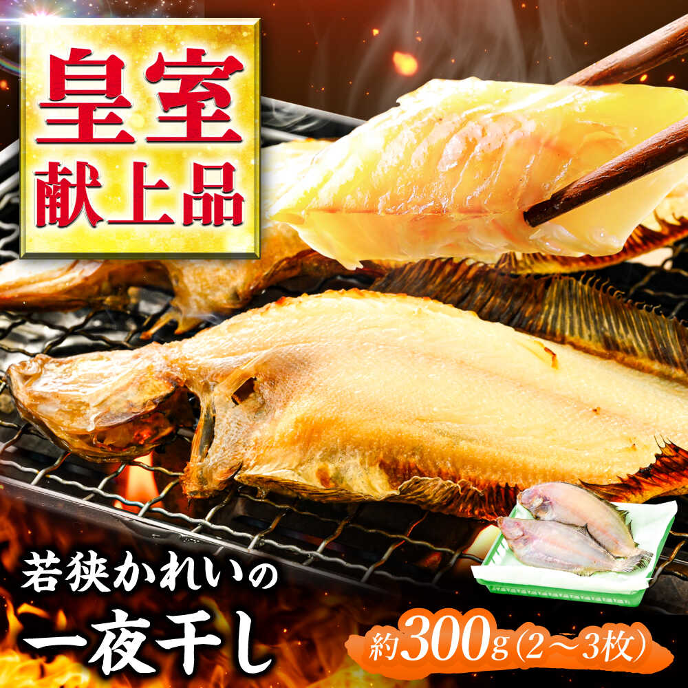 【ふるさと納税】国産 若狭かれいの一夜干し 300g ヤナギムシカレイ 干物 乾物[B-007037]