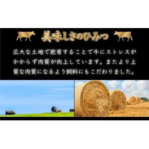 200g×5枚 佐賀牛｢ヒレステーキ｣ N-101
