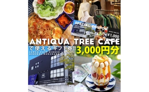 ＜ふるさと納税＞カフェ利用ギフトカード　￥1000×3枚(CW002-SJ)【1682237】