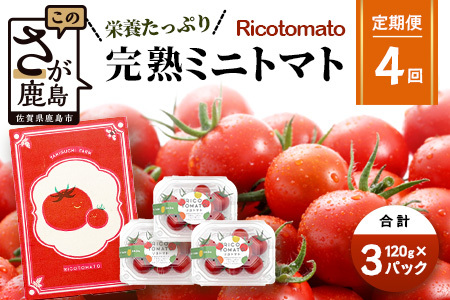 【4回定期便】【先行予約】完熟ミニトマト 【少量パック】120gx3p　たにぐちファーム 完熟ミニトマト 360g とりこになるトマト 野菜 とまと トマト リコピン 佐賀産 佐賀県 鹿島市　E-160