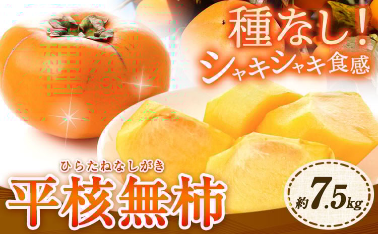 
            【先行予約】ひらたねなし柿 約7.5kg 岸武青果株式会社《2026年10月中旬-12月上旬頃出荷》 和歌山県 紀の川市 柿 カキ かき 平核無柿 種なし 果物 フルーツ 送料無料
          